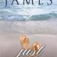 Just This Once: Escape to New Zealand Book One